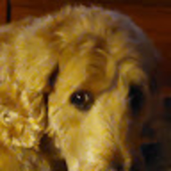 Meet your Posher, Howard - Picture 1 of 1